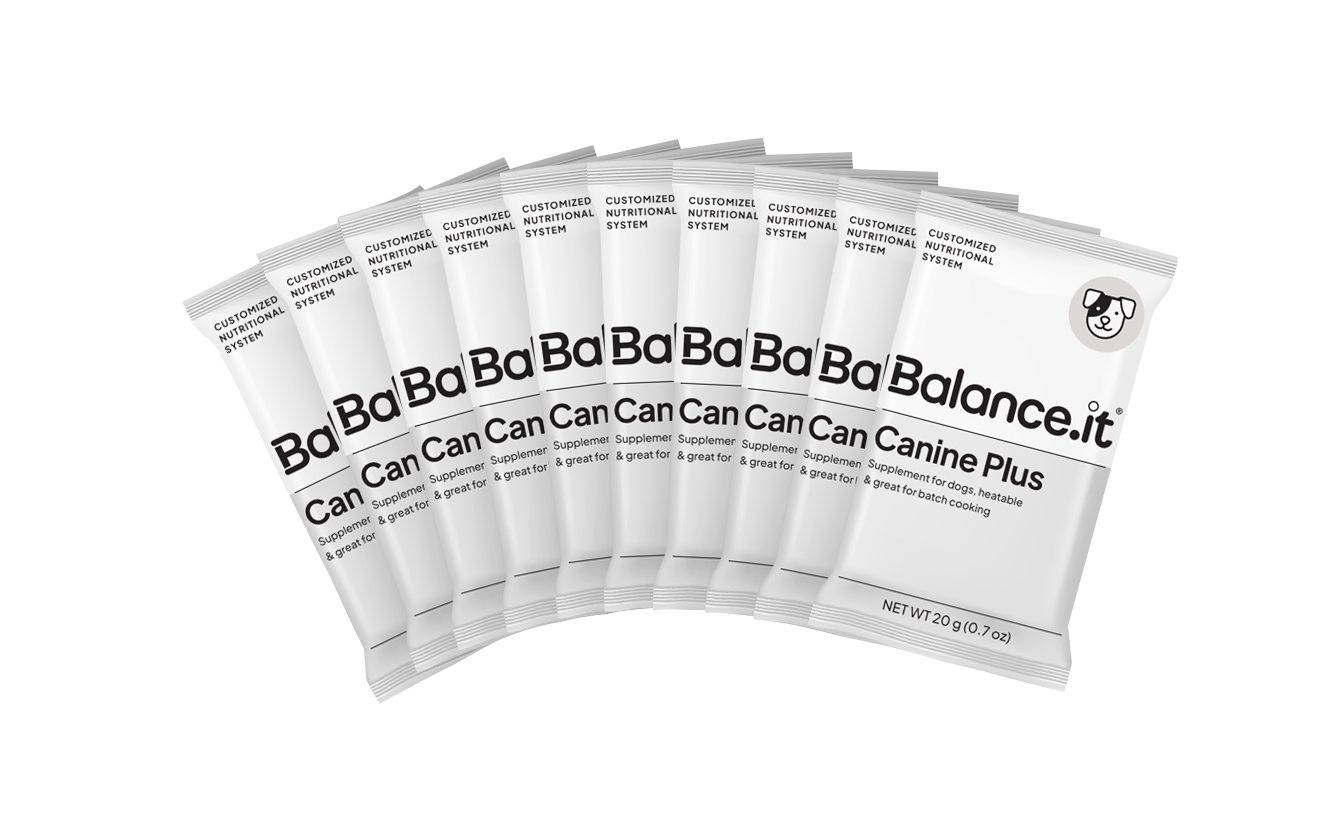 Balanceit for dogs hot sale